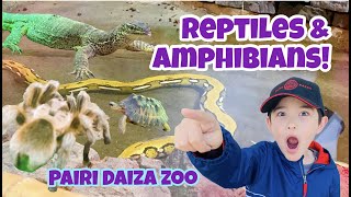 PAIRI DAIZA  Part 4 Reptiles and Amphibians  EnzoTVidz pairidaiza zoo [upl. by Nivrae548]