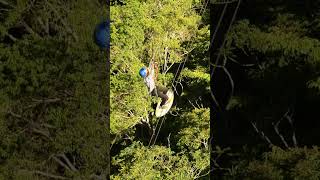 na stock sa zipline😂 shorts zipline funny viralvideo viralshorts [upl. by Litton]