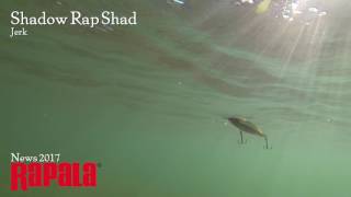 Rapala Shadow Rap Shad Jerk [upl. by Heng]