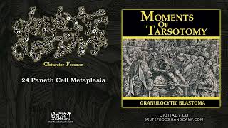 GRANULOCYTIC BLASTOMA quot24 Paneth Cell Metaplasiaquot Official Track 2010 [upl. by Goodard]