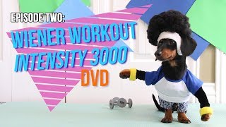 Episode Two Wiener Workout Intensity 3000 DVD [upl. by Noam661]