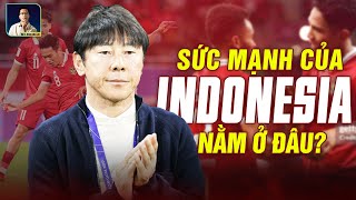 VIỆT NAM SẼ PHẢI ĐỐI MẶT VỚI MỘT INDONESIA THẾ NÀO Ở ASIAN CUP 2023 [upl. by Uella]