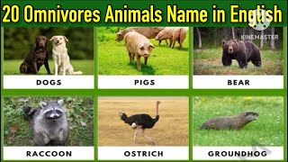 Omnivores Animals20 Omnivores Animals NameOmnivores Animals Name in Englishomnivoresanimals [upl. by Anide]