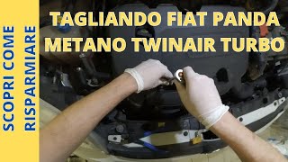 Tagliando FIAT Panda metano 09 TwinAir Turbo Natural Power con commento [upl. by Anyahs]