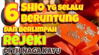 6 SHIO yg selalu BERUNTUNG amp berlimpah REJEKI di th NAGA KAYU [upl. by Emmer]