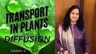 Transport In Plants  Diffussion  Easy Explanation  Biology Ocean [upl. by Zacharias]