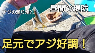 堤防に座って足元を狙ったらアジが釣れ過ぎ簡単な自作の仕掛けでも好反応！ [upl. by Haskel]