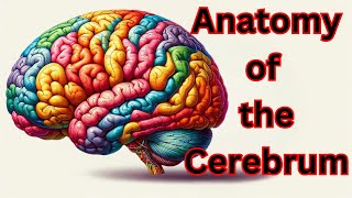 🧠 Anatomy of the Cerebrum [upl. by Sairtemed980]