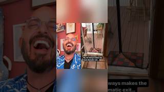 Now THAT’S how you make an entrance funnycats catvideos reaction [upl. by Annohsak]