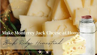 StepByStep Monterey Jack Cheese Making Tutorial Delicious Creamy Simple amp Easy To Make at Home [upl. by Marijn]