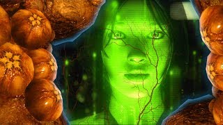 Halo 6 News  CONFIRMED Cortana Infected By the LOGIC PLAGUE [upl. by Oelc710]