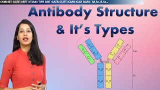 Antibody Structure amp its types I Immunology I Human health amp diseases I CSIRNET NEET GATE IITJAM [upl. by Engracia]