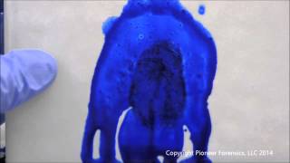 Coomassie Blue Bloody Fingerprint Development [upl. by Kere]