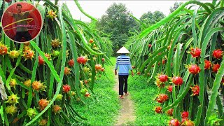 HOW TO TRAVEL VIETNAM CAMBODIA AND LAOS [upl. by Ataynek]