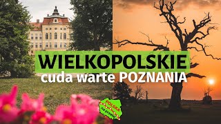 Oto WIELKOPOLSKA która zaskakuje 🌳 PO bliższym Poznaniu  Polska Na Przełaj s02e05 [upl. by Soisinoid]