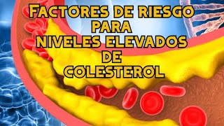 Factores de riesgo para niveles elevados de colesterol [upl. by Ahasuerus338]