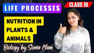 Life Processes 02  Nutrition in Plants amp Animals  Photosynthesis  Class 10 Biology CBSE  NCERT [upl. by Tammy]