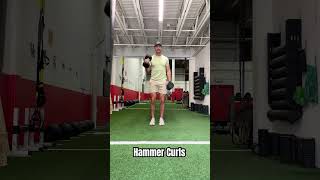 Hammer Curl Demo biceps workout [upl. by Nivlac]