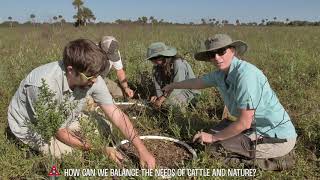 The Science of a Florida Ranch [upl. by Caresse]