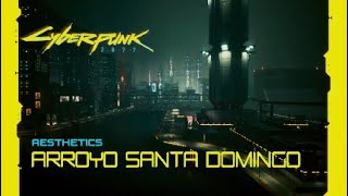 Cyberpunk ASMR Arroyo Santa Domingo [upl. by Yasibit]