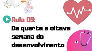 EMBRIOLOGIA HUMANA  AULA 09  DA QUARTA A OITAVA SEMANA DO DESENVOLVIMENTO EMBRIONÁRIO [upl. by Weingarten]