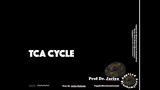 TCA CYCLE [upl. by Northey]