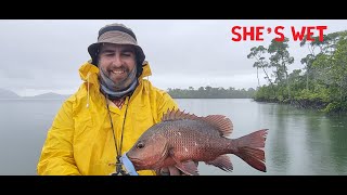 Hinchinbrook topwater magic  let it rain [upl. by Herta971]