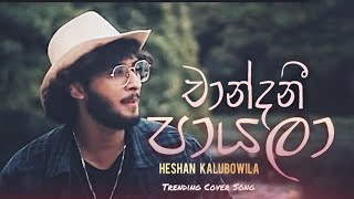 Chandani payala  චාන්දනී පායලා   B amp S Cover by Heshan Kalubowila [upl. by Elurd32]