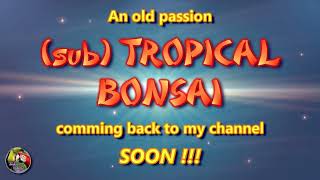 An old passion  TROPICAL BONSAI  coming back to my channel  TEASERTRAILER [upl. by Noskcire]