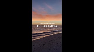 Sarasotas Top Beaches Unveiling Your Perfect Coastal Escape [upl. by Dierdre]