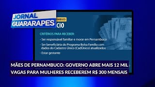 Mães de Pernambuco governo abre mais 12 mil vagas para mulheres receberem R 300 mensais [upl. by Sianna]