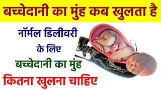 बच्चेदानी का मुंह कब खुलता है  Important Tips For Normal Delivery In Hindi [upl. by Ahcsrop]