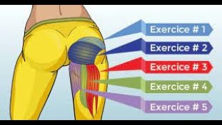 BEST EXERCICE FESSIER amp JAMBES MUSCLER MOTIVATIOON [upl. by Anaerda]