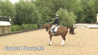 Dressage an instant experts guide to the Olympic sport [upl. by Frager]