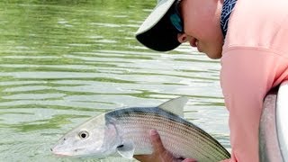 The beautiful landscape and thrill of Bonefish Fly Fishing in Nassau Bahamas [upl. by Ahsar282]