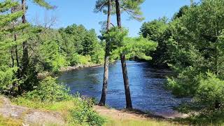 New Video a Bass Rock Swimming at Muskoka Bracebridge Canada 2024 [upl. by Wilek]