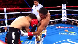 Roman quotChocolatitoquot Gonzalez Nicaragua vs McWilliams Arroyo Puerto Rico  Boxing Fight Highlight [upl. by Buffy]