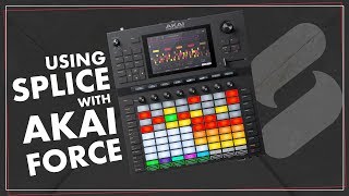 Use Splice with the Akai Force [upl. by Solotsopa]