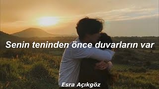 Zeynep Casalini  Duvar Lyrics [upl. by Coombs399]