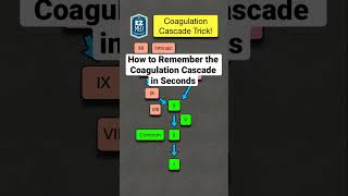 How to Remember the Coagulation Cascade in Seconds Pathway Made Easy [upl. by Eikin]