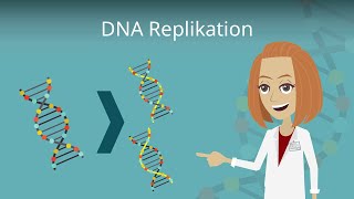 DNA Replikation einfach erklärt [upl. by Winfrid]