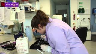 BSc courses Biomedical Sciences at The University of Manchester [upl. by Poul]