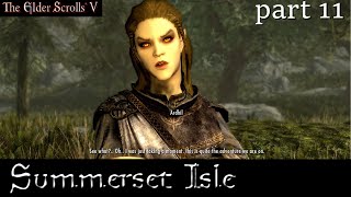 In Skyrim Summerset Isle part 11 Ardhil of Alinor [upl. by Neall230]