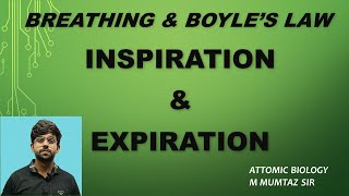 Breathing and Boyles Law  Inspiration  Expiration  11th [upl. by Llyrrad]