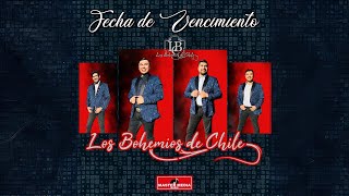 Los Bohemios de Chile  Fecha de Vencimiento 🥂 [upl. by Erline941]