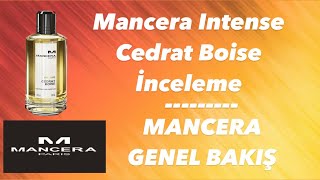 Mancera Intense Cedrat Boise  Mancera Genel Bakış  En İyi Erkek Parfümleri [upl. by Infeld]