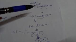 Venous drainage of lower limb last minute revision flowchart [upl. by Eseilenna679]