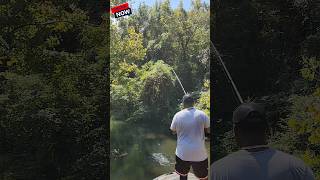 🎣 Bridge Fishing For Creek Bass Fishing shortfeed [upl. by Adilem]