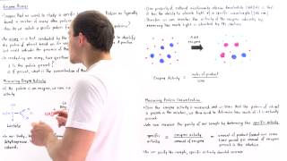 Enzyme Assay Enzyme Activity and Specific Activity [upl. by Garling623]