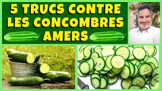 Concombres au jardin potager  5 trucs pour quils ne soient plus amers [upl. by Nomrac]